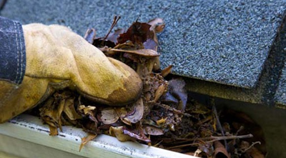 Gutter cleaning expert in portland